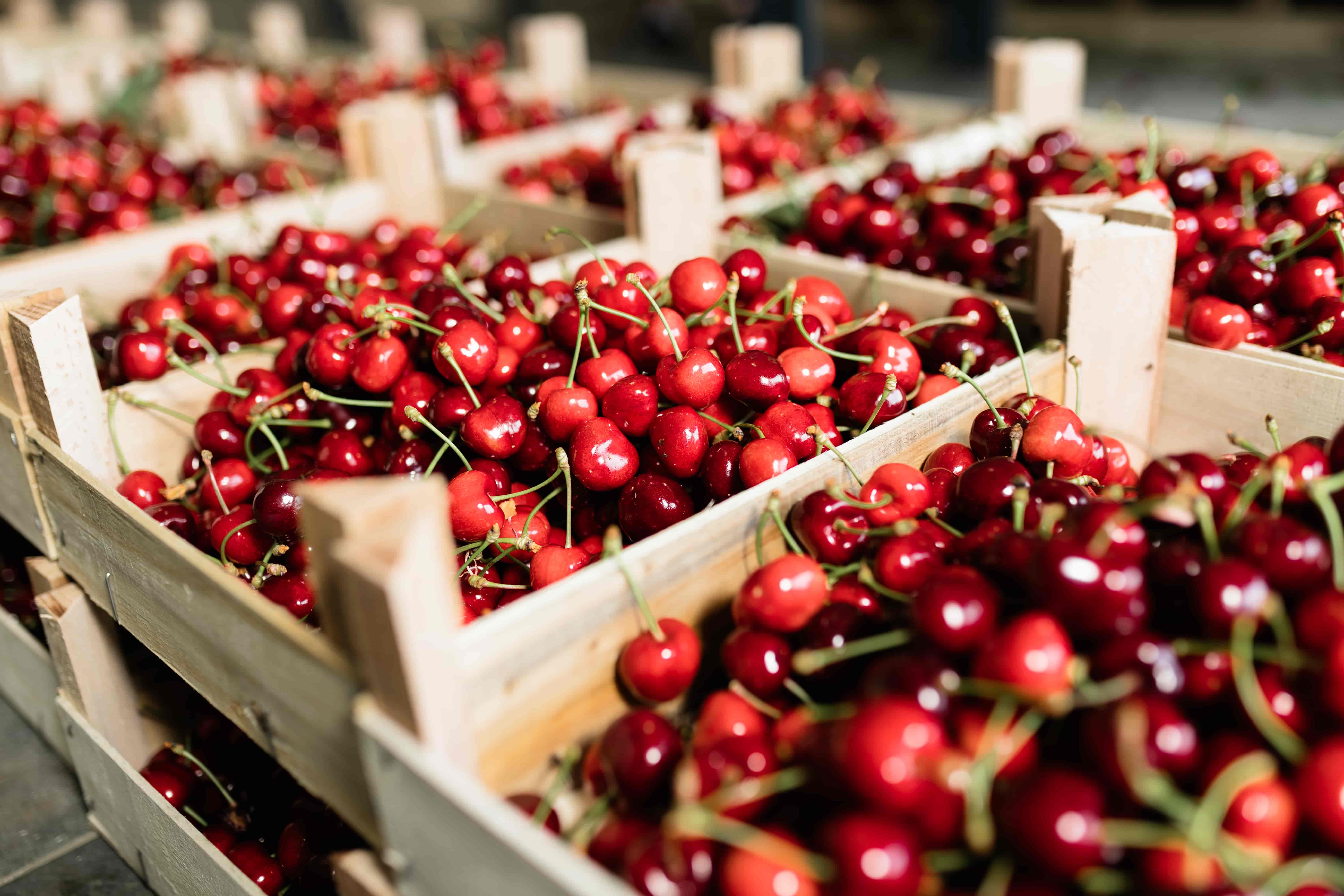 Image of Fruit Wholesale